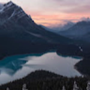 Meet your Posher, Nina